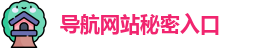 导航网站秘密入口